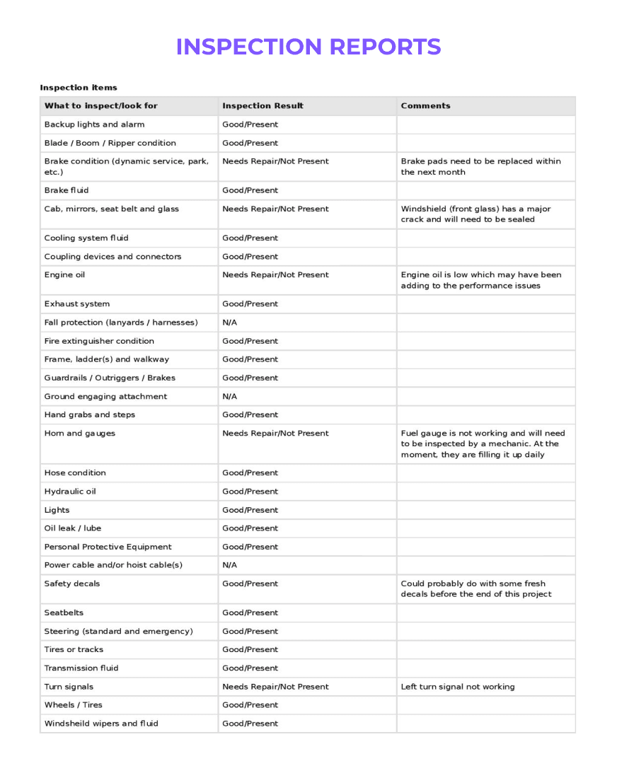 Blank 'INSPECTION REPORT' template with sections for inspector details, inspection criteria, observations, and recommendations.